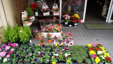 「花兼」　（愛知県名古屋市中川区）の花屋店舗写真3