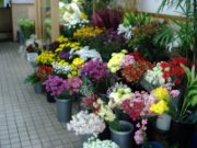 「花兼」　（愛知県名古屋市中川区）の花屋店舗写真2